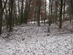 Reinbergbunker Wels Fundament Ebene 09.01.2010 02.jpg