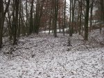 Reinbergbunker Wels Fundament Ebene 09.01.2010 02.jpg