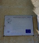 784.jpg