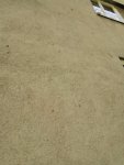 IMG_20220818_130747.jpg