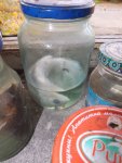 DSCF4907.JPG