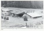 Seite119-Bild1.jpg