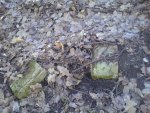 DSC01129.JPG