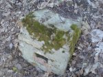 DSC01131.JPG