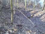 DSC01152.JPG