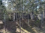 IMG_8447.jpeg