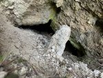 IMG_8449.jpeg