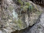 IMG_8450.jpeg