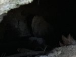IMG_8452.jpeg