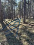 IMG_8470.jpeg