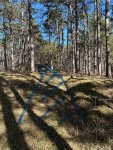 IMG_8471.jpeg