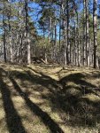 IMG_8471.jpeg