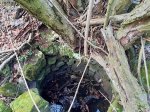 AlterBrunnen Ruine Hof Ecker.jpg