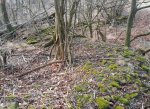 Ruinen Gehöft Ecker Stollberg.jpg