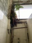 IMG_3478.jpeg