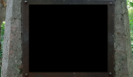 ABV2.png