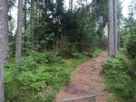 IMG_20240606_202209.jpg