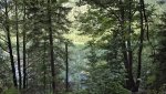 20240714_085026.jpg