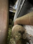 IMG_5029.jpeg