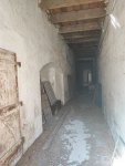 IMG_20240920_135431.jpg