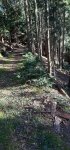 20241225_123756.jpg