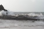 Herminia-21.jpg