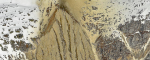 1741512698878.png