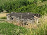 betonruine3.jpg