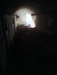IMG_20250412_164817.jpg