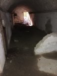 IMG_20250412_164825.jpg