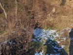 IMG_20260104_141503.jpg