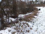 IMG_20260131_143117.jpg