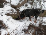 IMG_20260131_142948.jpg