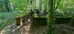 20260622_085236.jpg