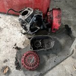 IMG_2447.jpeg