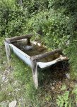 IMG_2248.jpeg