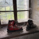 IMG_2224.jpeg