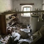 IMG_2227.jpeg