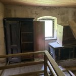 IMG_2229.jpeg