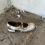 IMG_2233.jpeg