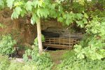 IMG_1549.jpg