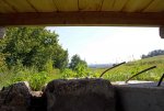 IMG_1663.jpg
