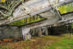 16.DSC_0051.JPG