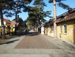 Mayr_Roth-1.jpg