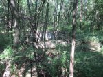 IMG_2107.jpg