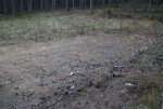 IMG_7248.JPG