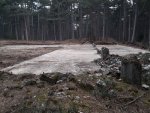 k-20150314_161952.jpg