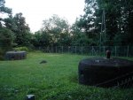 bitburgirrel03_04_07_08 (143).jpg