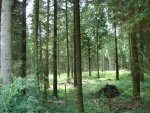 100708Kalltrail (88).JPG