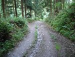 100708Kalltrail (206).JPG